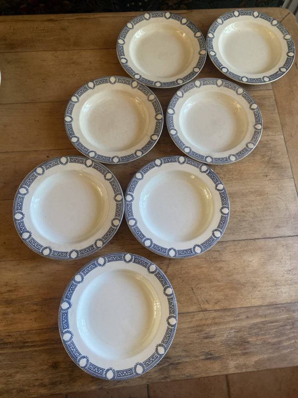 Série de sept assiettes en faïence Terre de fer  Salin Epoque XIXe - Bleu – Image 9