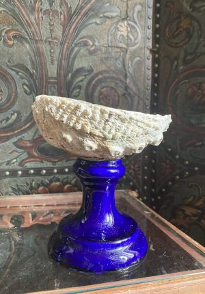 Bénitier Ancien en Coquillage Nacré & Porcelaine de Vieux Paris – XIXe Siècle