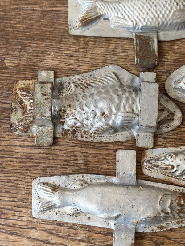 Lot de 8 anciens moules à chocolat – Modèles poisson – Fin XIXe – Image 7