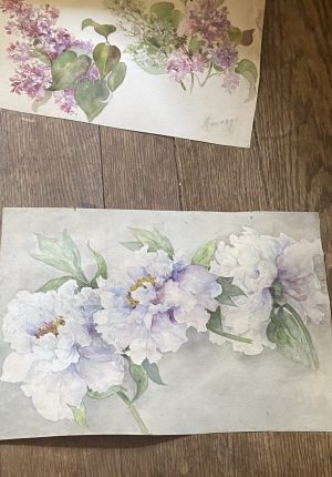 Aquarelle ancienne de pivoines – Fin XIXᵉ – 35,5 x 24 cm