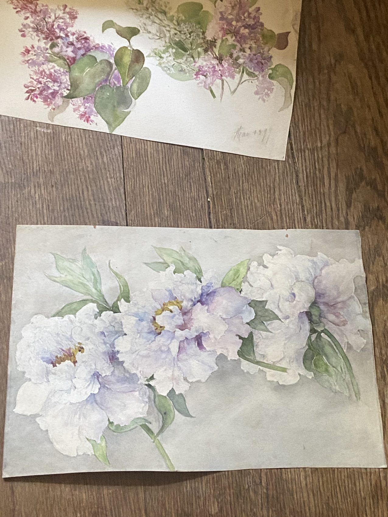 Aquarelle ancienne de pivoines – Fin XIXᵉ – 35,5 x 24 cm