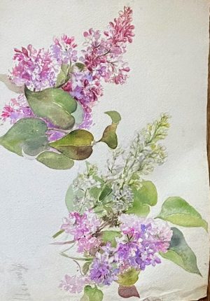 Aquarelle ancienne – Étude de lilas – date de 1899 Superbe et poétique