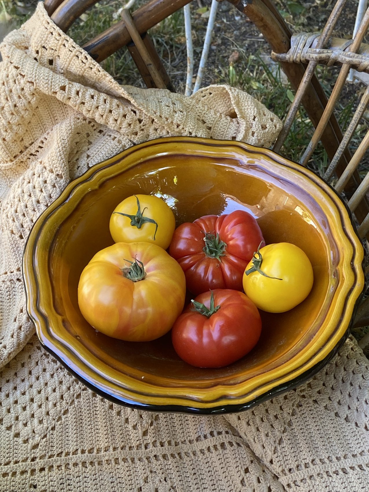 Faïence de Haute-Provence : l’art de la table qui met du soleil dans ton assiette