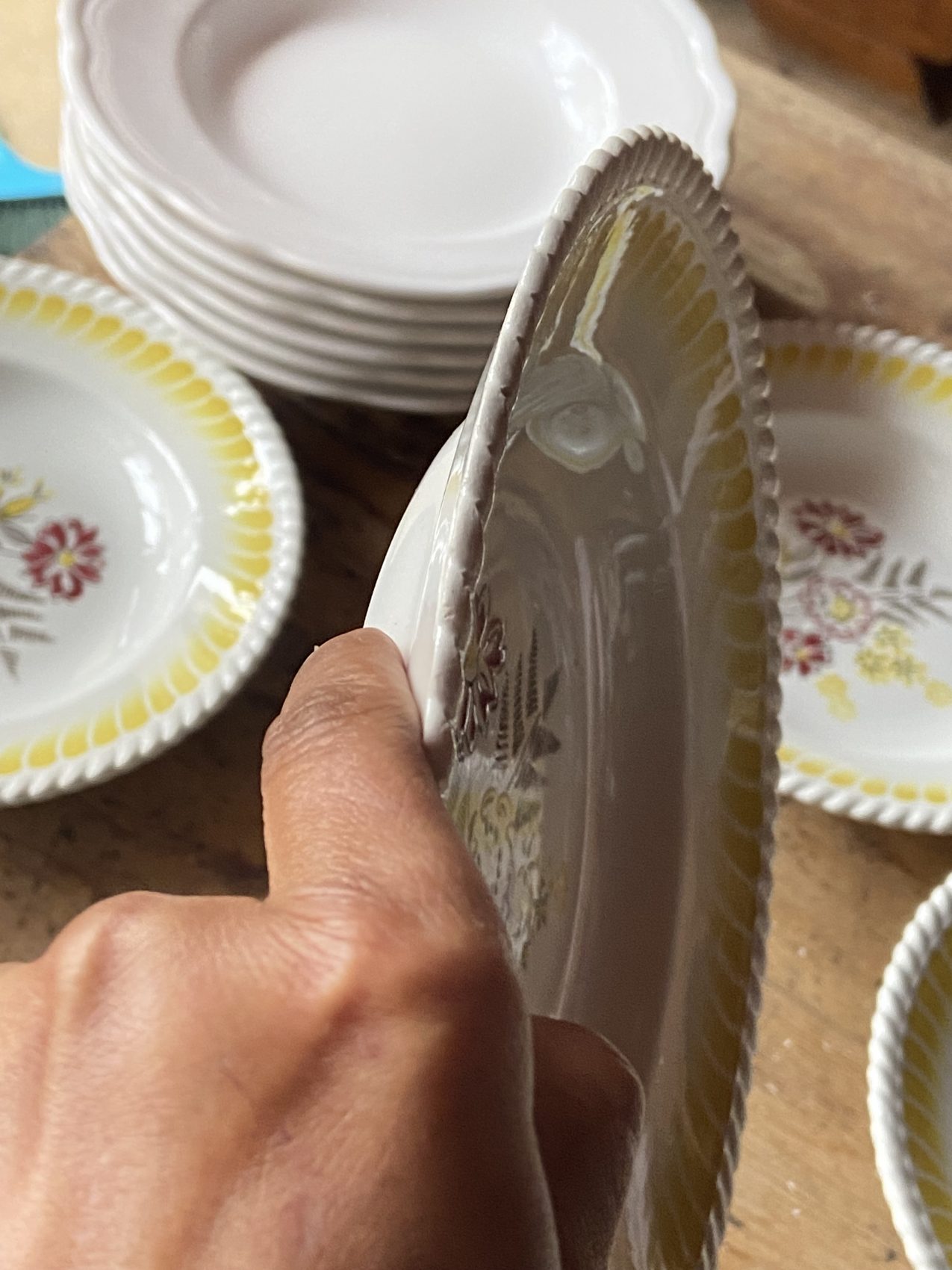 Lot De 6 Assiettes Creuses Anciennes En Faïence, Décor Toucan, Occasion En Bon état