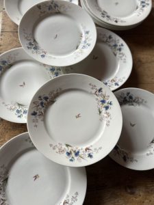 Série de 10 assiettes anciennes en porcelaine à motifs bucolique 