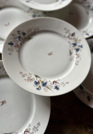 Série de 10 assiettes anciennes en porcelaine à motifs bucolique  Prix de vente de 99 euros Livraison partout en France au choix 5 kilos Grand Dépôt – Nouveau Dépôt Paris 51 boulevard Voltaire – Époque vers 1900