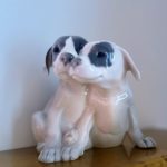 Sculpture ancienne de deux chiens en porcelaine Royal Copenhague – Époque Art déco Prix de vente de 164 euros  Livraison partout en France au choix 