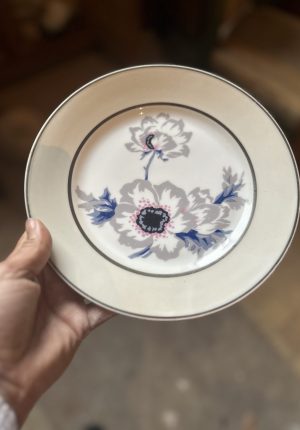 12 assiettes anciennes en porcelaine motif anémone + grand plat assorti 29,5 cm Prix de vente de 125 euros Livraison partout en France au choix 