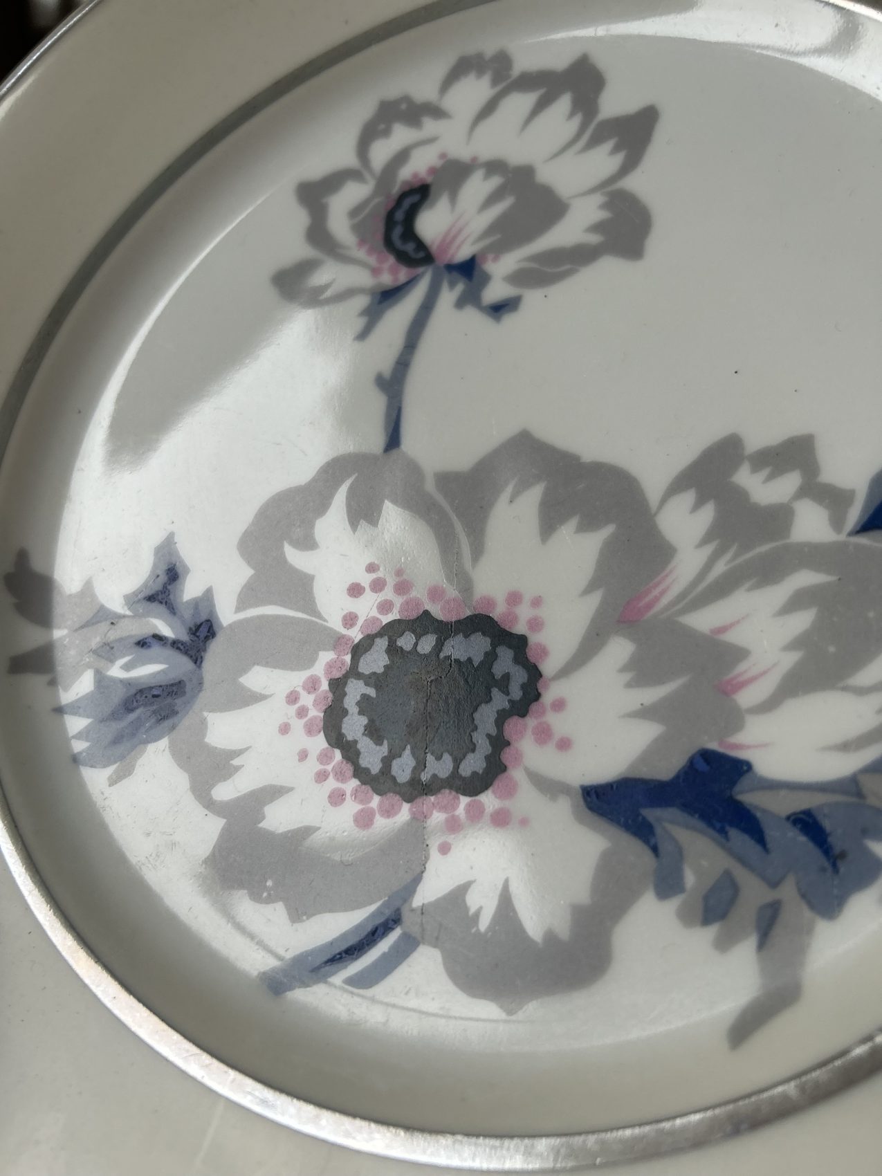12 assiettes anciennes en porcelaine motif anémone + grand plat assorti 29,5 cm Prix de vente de 125 euros Livraison partout en France au choix 