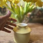 Beurrier ancien à eau en porcelaine jaune poussin - Une rareté intemporelle et pratique