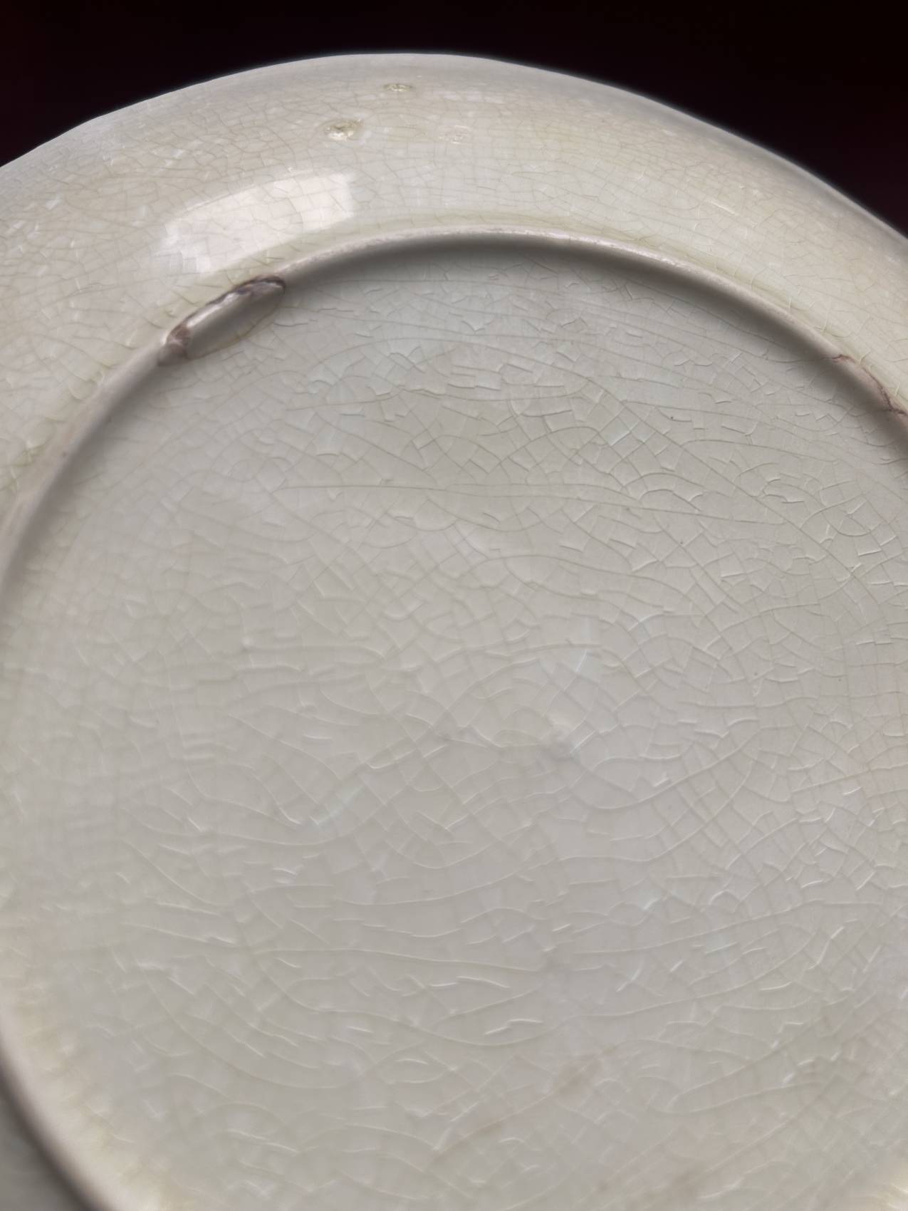 Duo d’assiettes plates en faïence barbotine aux anémones – Époque 1900 – Attribuées à Onnaing – Image 8