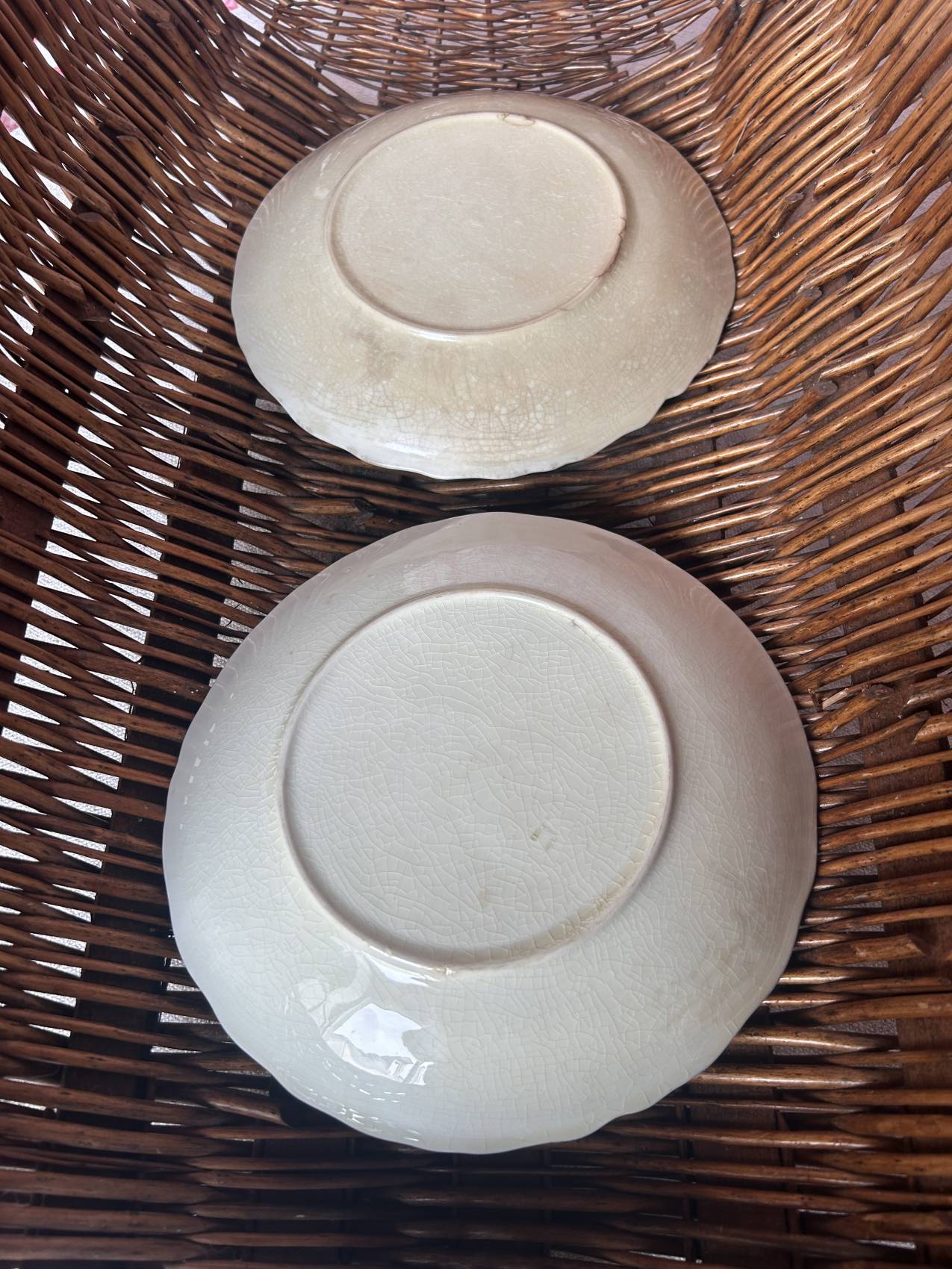Duo d’assiettes plates en faïence barbotine aux anémones – Époque 1900 – Attribuées à Onnaing – Image 6