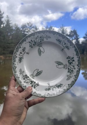 https://labrocantebucolique.fr/boutique/vaisselles-anciennes-porcelaine-et-barbotine/serie-de-12-assiettes-a-entree-anciennes-saint-amand-modele-moderne-style-decor-vert-22-cm-un-beau-classique-aux-hortensias/