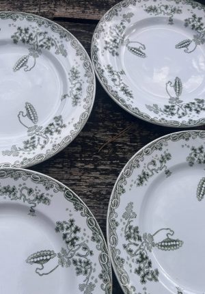 Série  de 12 assiettes à entrée anciennes Saint-Amand – modèle Moderne Style – décor vert – 22 cm  un beau classique aux hortensias