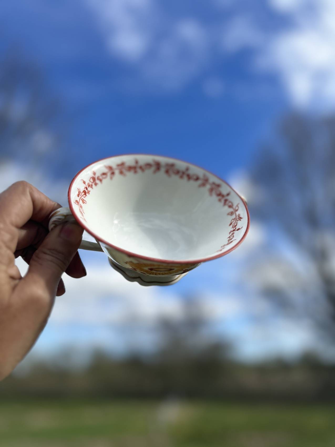 Deux tasses à bouillon en porcelaine fine de Limoges « Fabrique Royale »chic et raffinées – Image 7