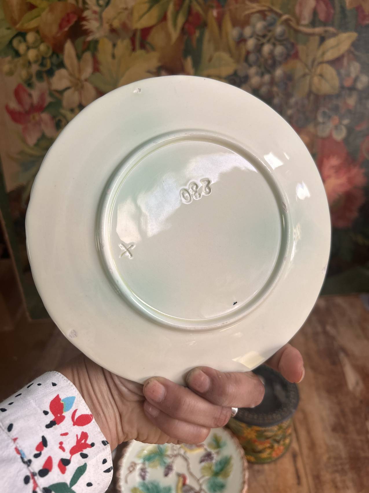 Série de 5 Assiettes anciennes en barbotine décor oiseaux et vigne – Faïence de Onnaing - Une rareté