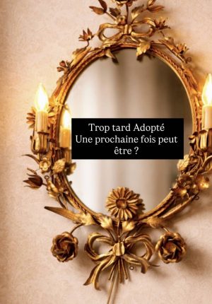 Miroir lumineux hollywood regency vintage italien années 60 en métal doré patiné bronze