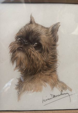 Lithographie signée Danchin – Portrait de griffon belge encadré Plein de caractère